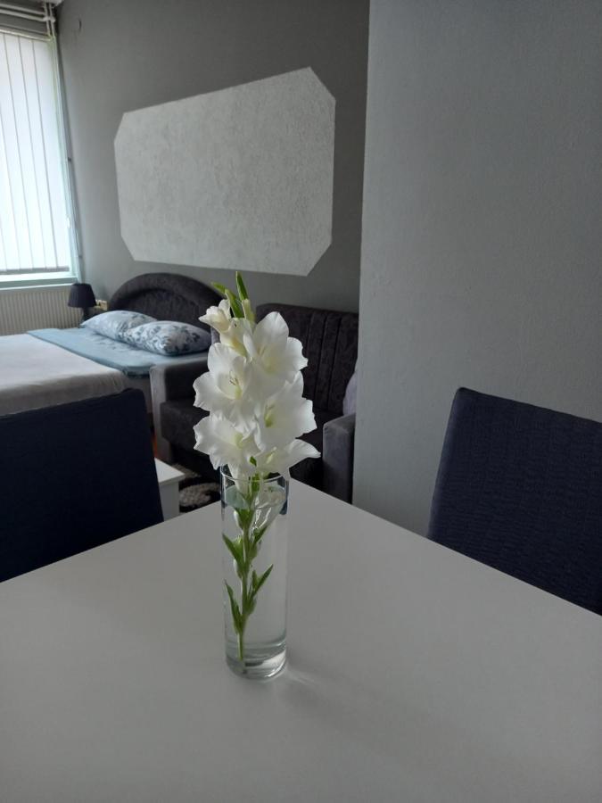 Apartmani Lazaro Višegrad Dış mekan fotoğraf